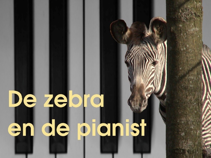 zebra_en_pianist Sociale activiteiten | Den Bolder